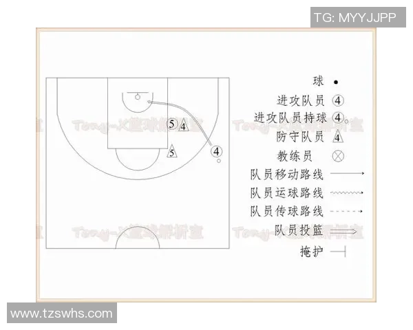 篮球明星与篮球术语的完美结合探讨与分析
